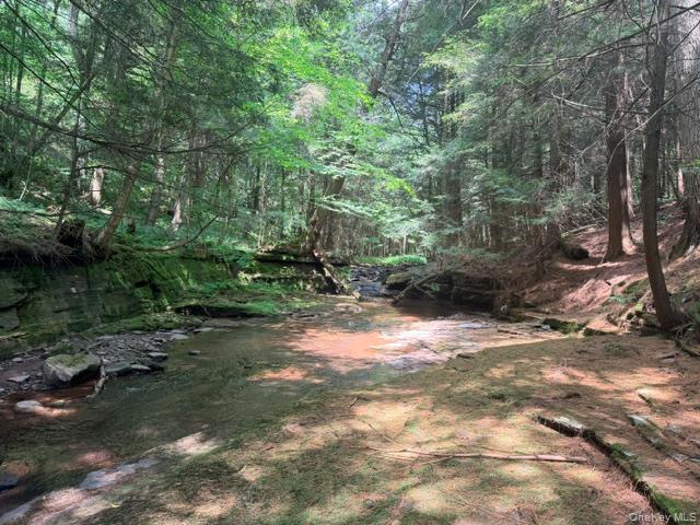 Lot 35 Webster Brook Road Property Photo 19