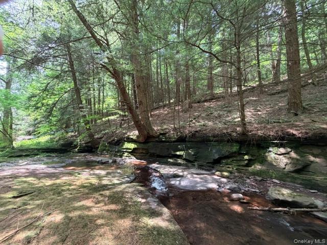 Lot 35 Webster Brook Road Property Photo 20