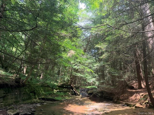 Lot 35 Webster Brook Road Property Photo 21