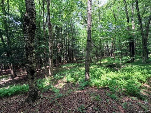 Lot 35 Webster Brook Road Property Photo 25