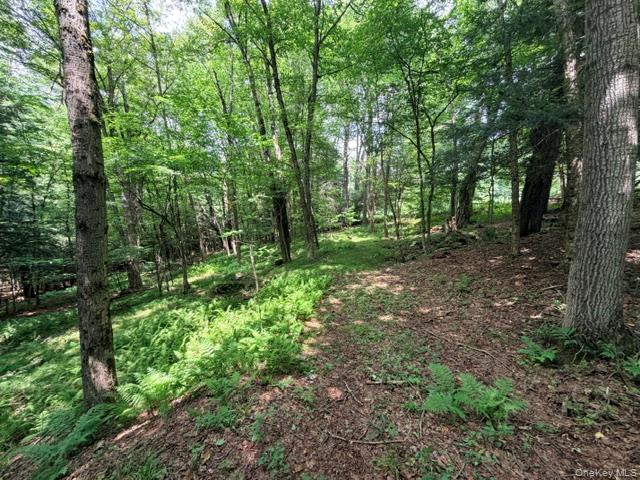 Lot 35 Webster Brook Road Property Photo 26