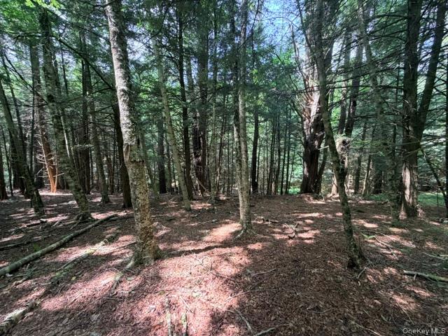 Lot 35 Webster Brook Road Property Photo 27
