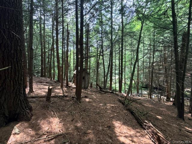 Lot 35 Webster Brook Road Property Photo 28