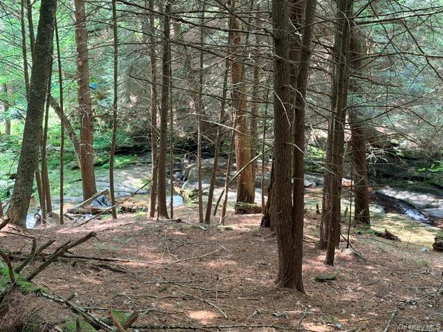 Lot 35 Webster Brook Road Property Photo 29