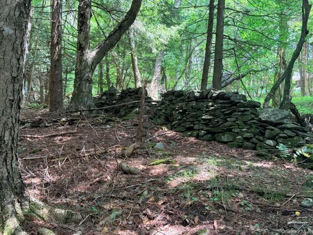 Lot 35 Webster Brook Road Property Photo 30