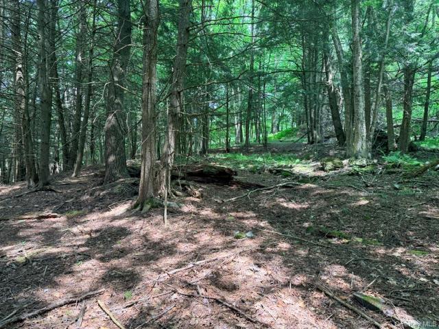 Lot 35 Webster Brook Road Property Photo 31