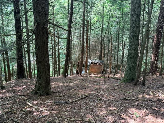 Lot 35 Webster Brook Road Property Photo 32