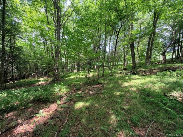 Lot 35 Webster Brook Road Property Photo 33