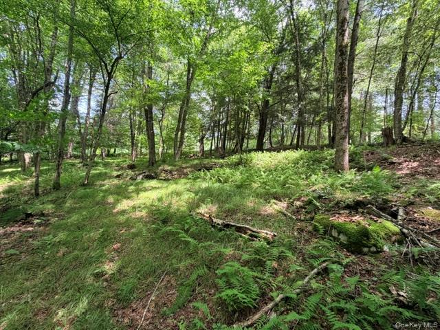 Lot 35 Webster Brook Road Property Photo 34