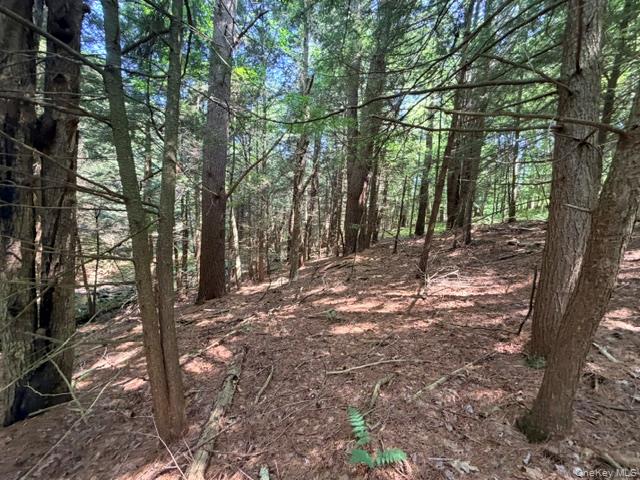 Lot 35 Webster Brook Road Property Photo 35