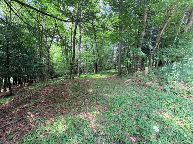 Lot 35 Webster Brook Road Property Photo 36