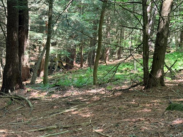 Lot 35 Webster Brook Road Property Photo 37