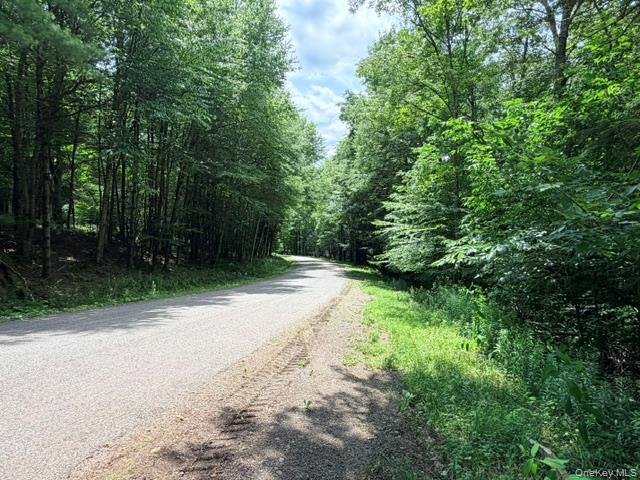 Lot 35 Webster Brook Road Property Photo 38
