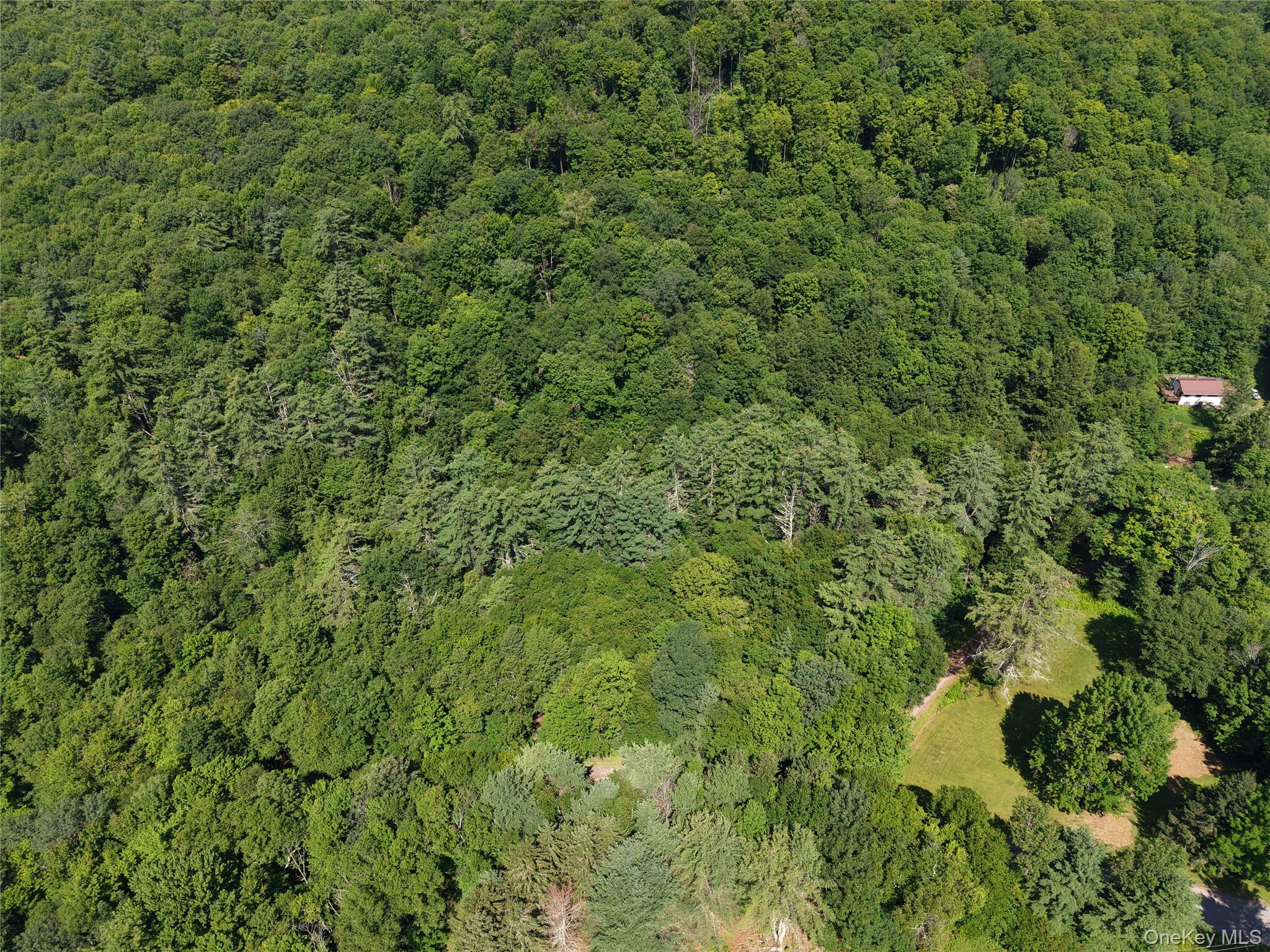 Lot 35 Webster Brook Road Property Photo 40