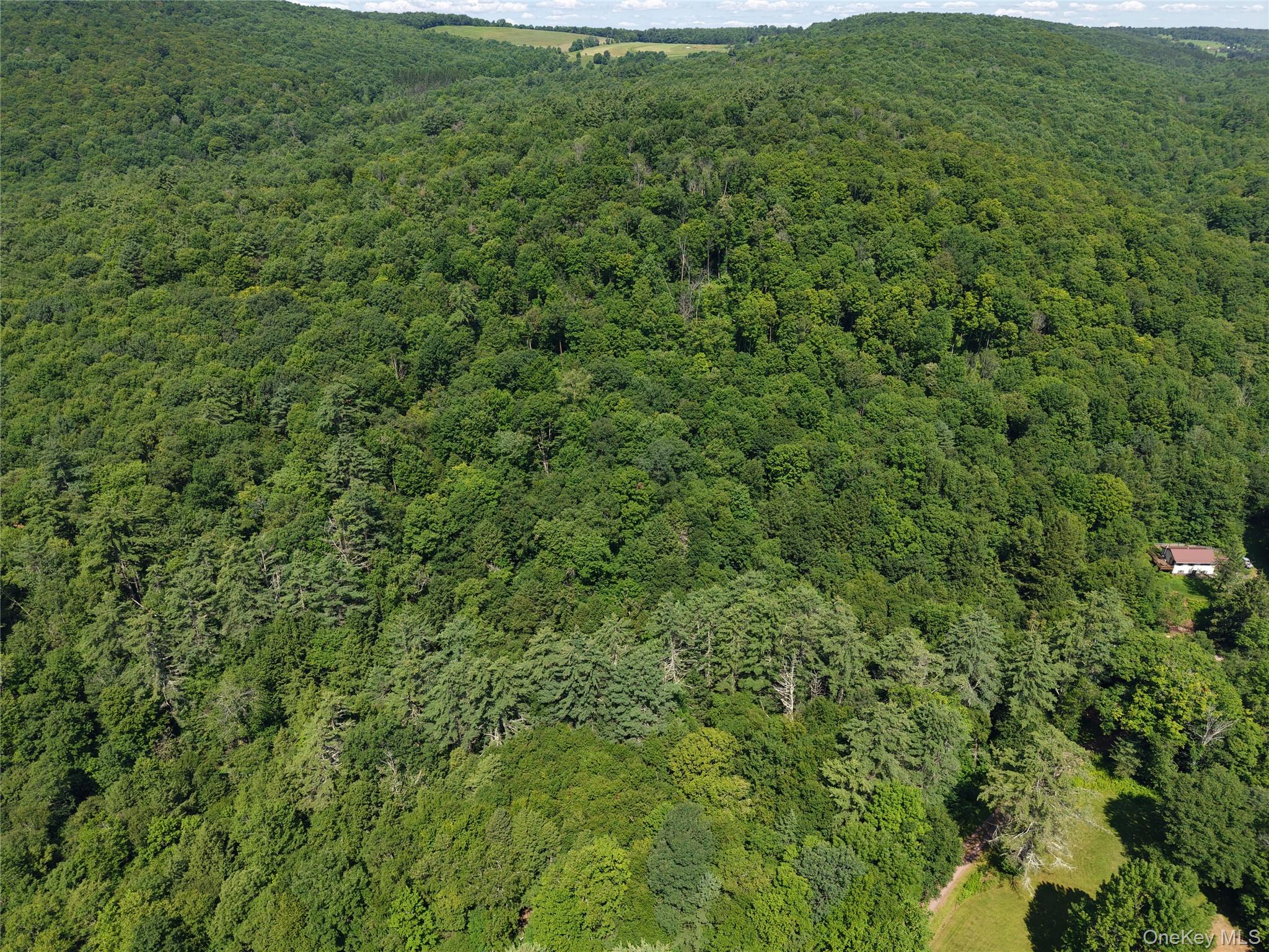 Lot 35 Webster Brook Road Property Photo 41