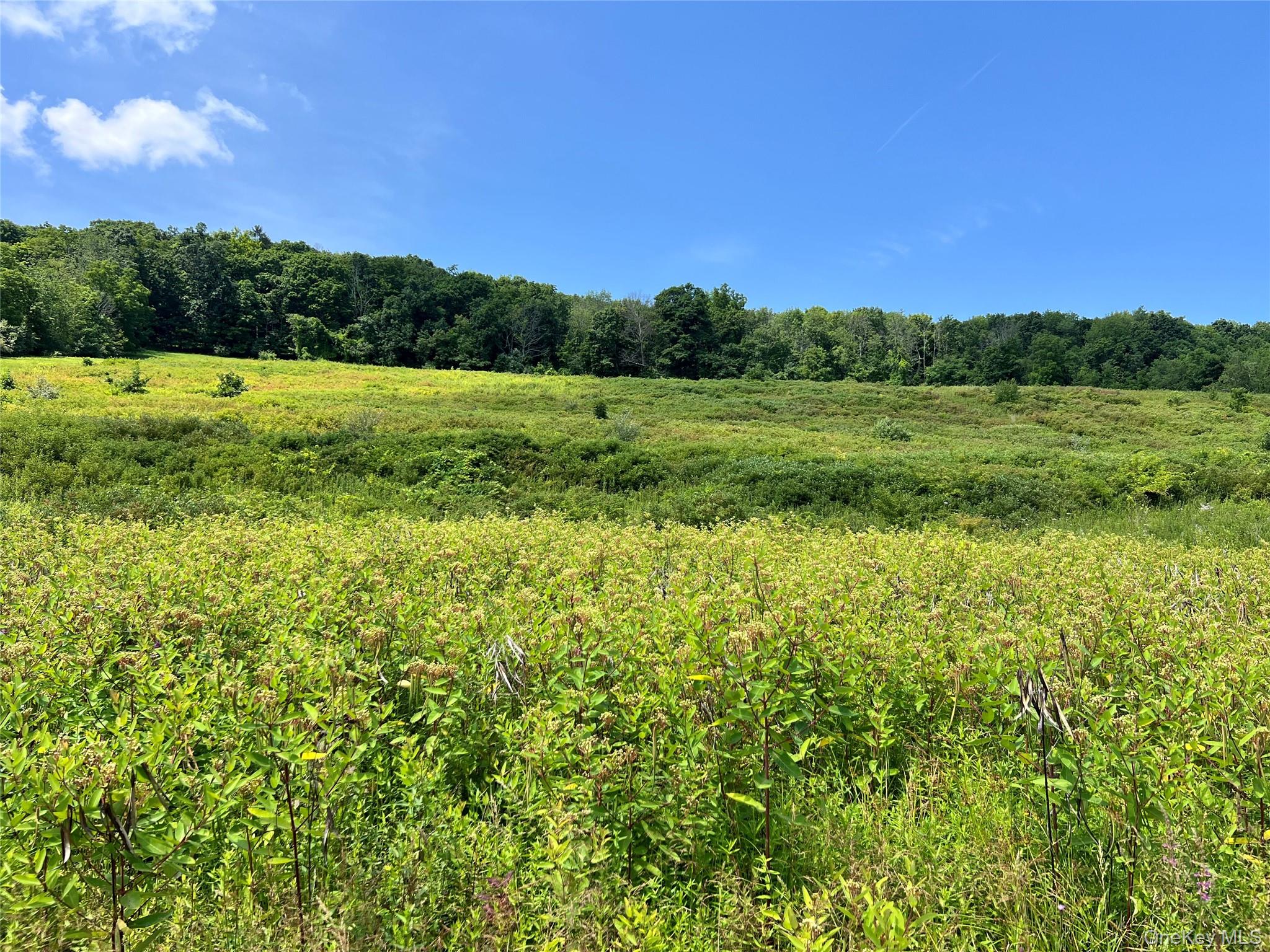 Lot #4 Mountain Road Property Photo 1