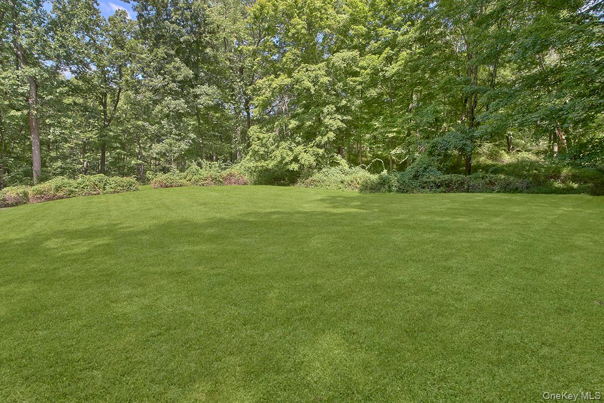 3 Little Lake Ridge Property Photo 27