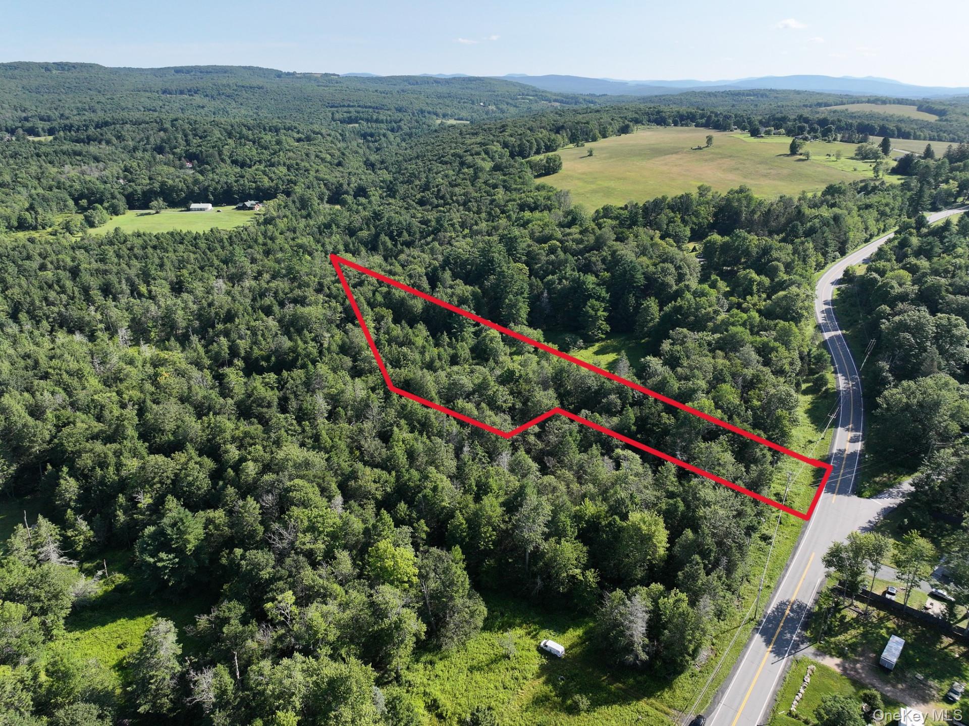 Lot 3 Neversink Road Property Photo 1