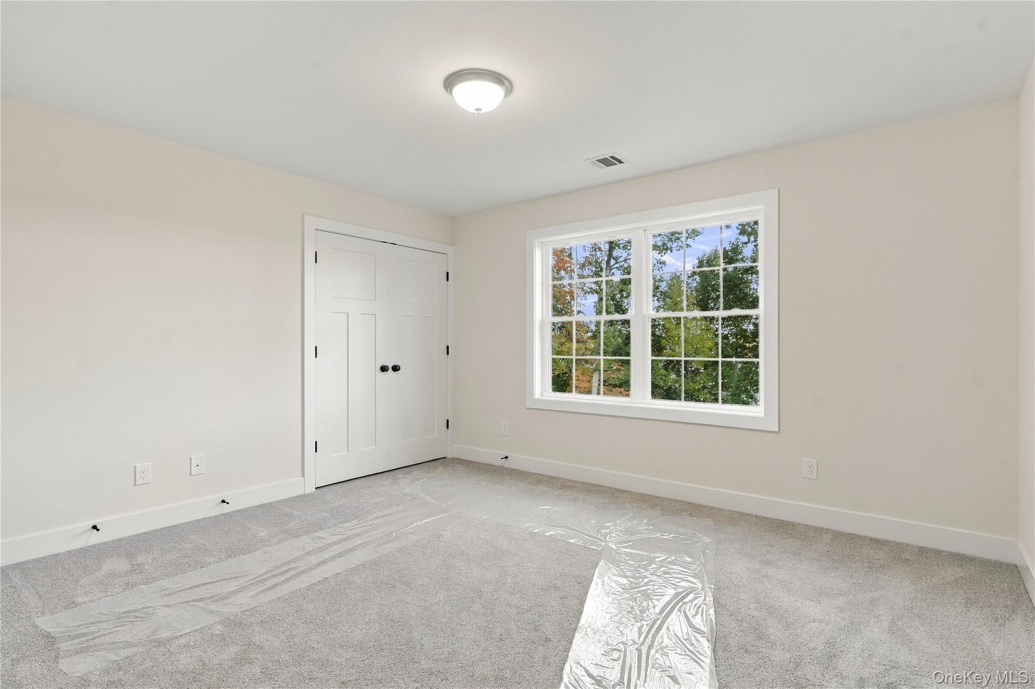 84 Frank Street Property Photo 25