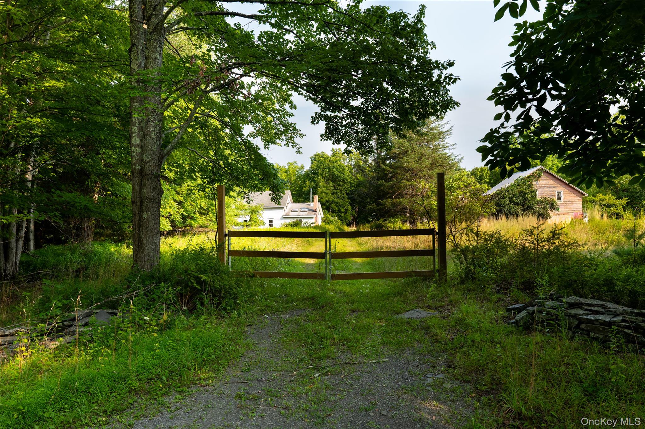 55 Hill Road Property Photo 11