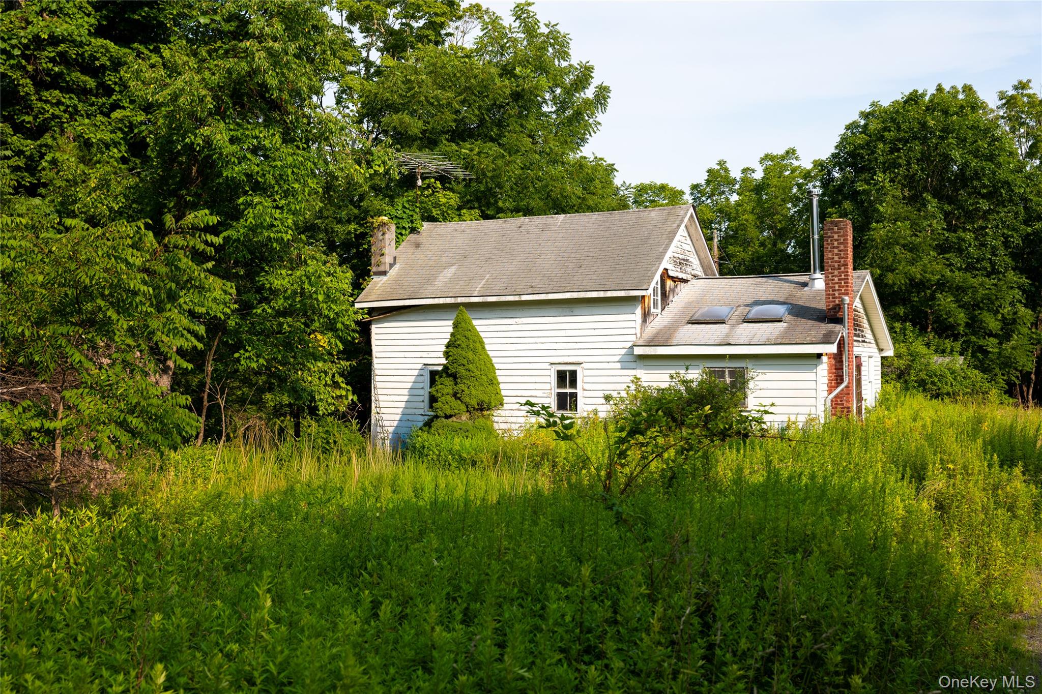 55 Hill Road Property Photo 12