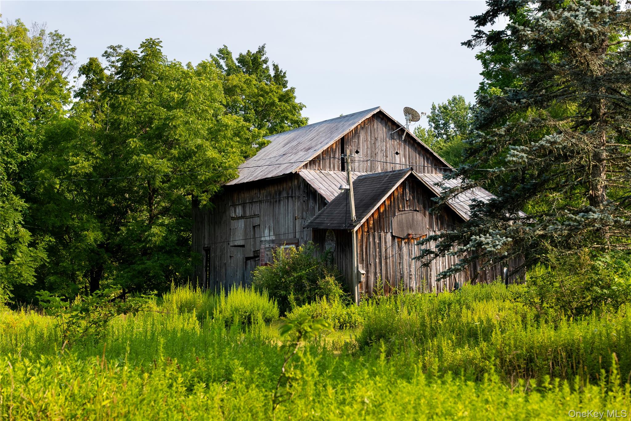 55 Hill Road Property Photo 13