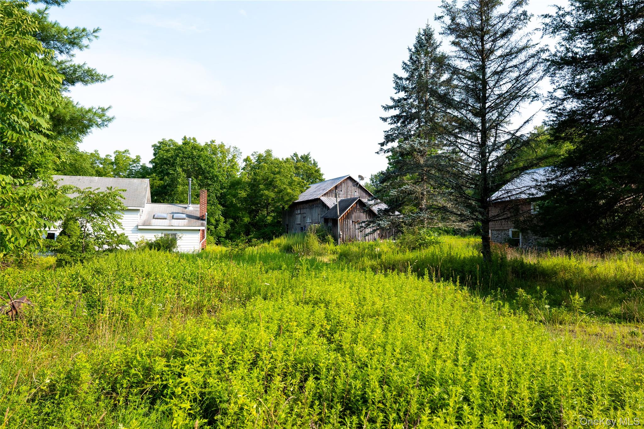 55 Hill Road Property Photo 14