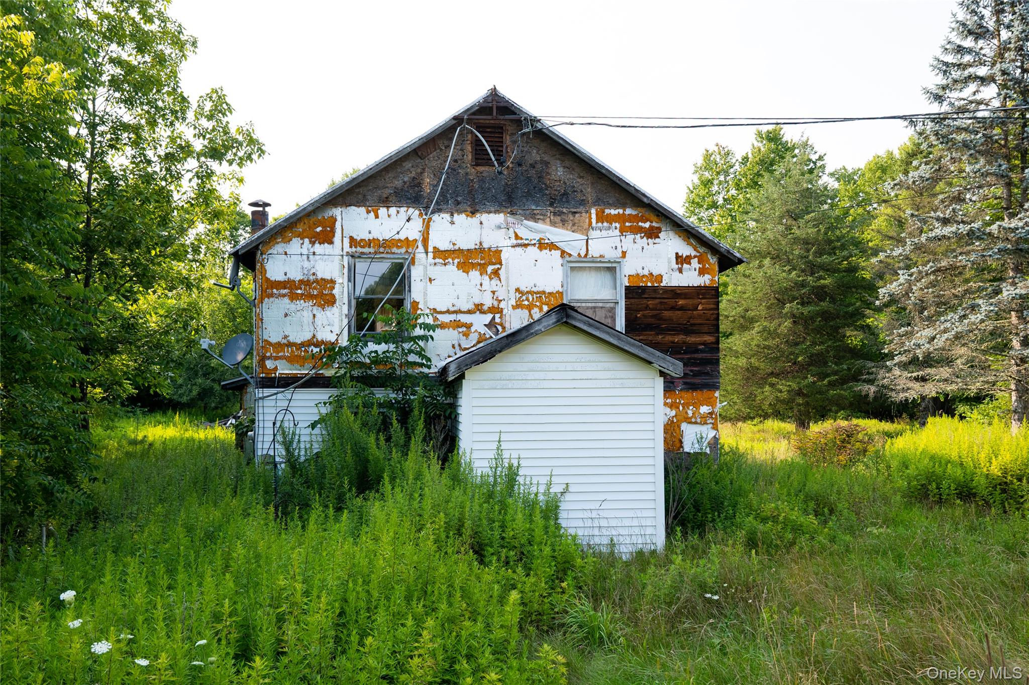 55 Hill Road Property Photo 18