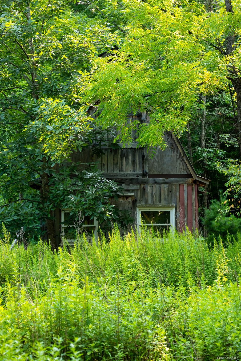 55 Hill Road Property Photo 19