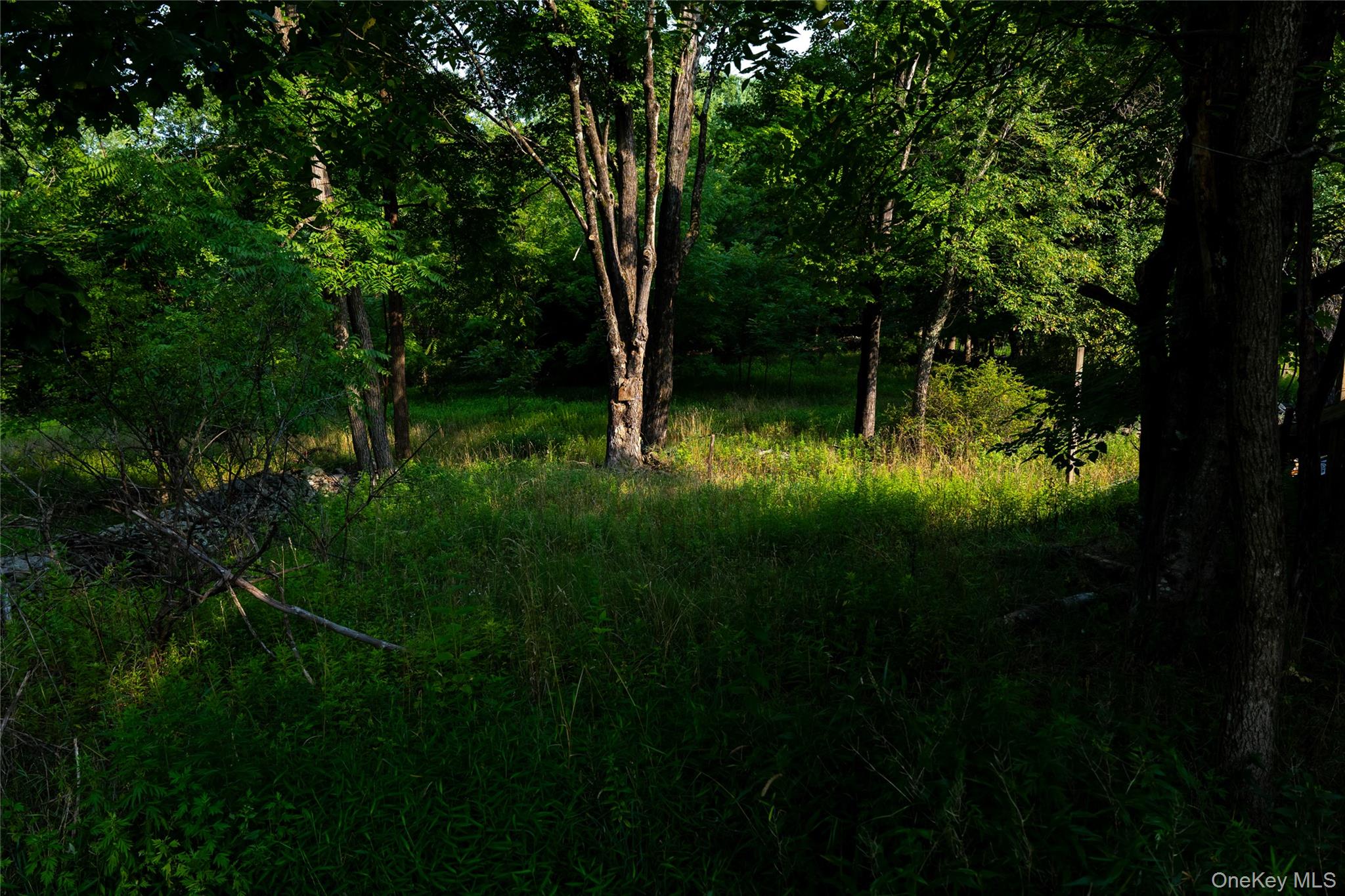 55 Hill Road Property Photo 30