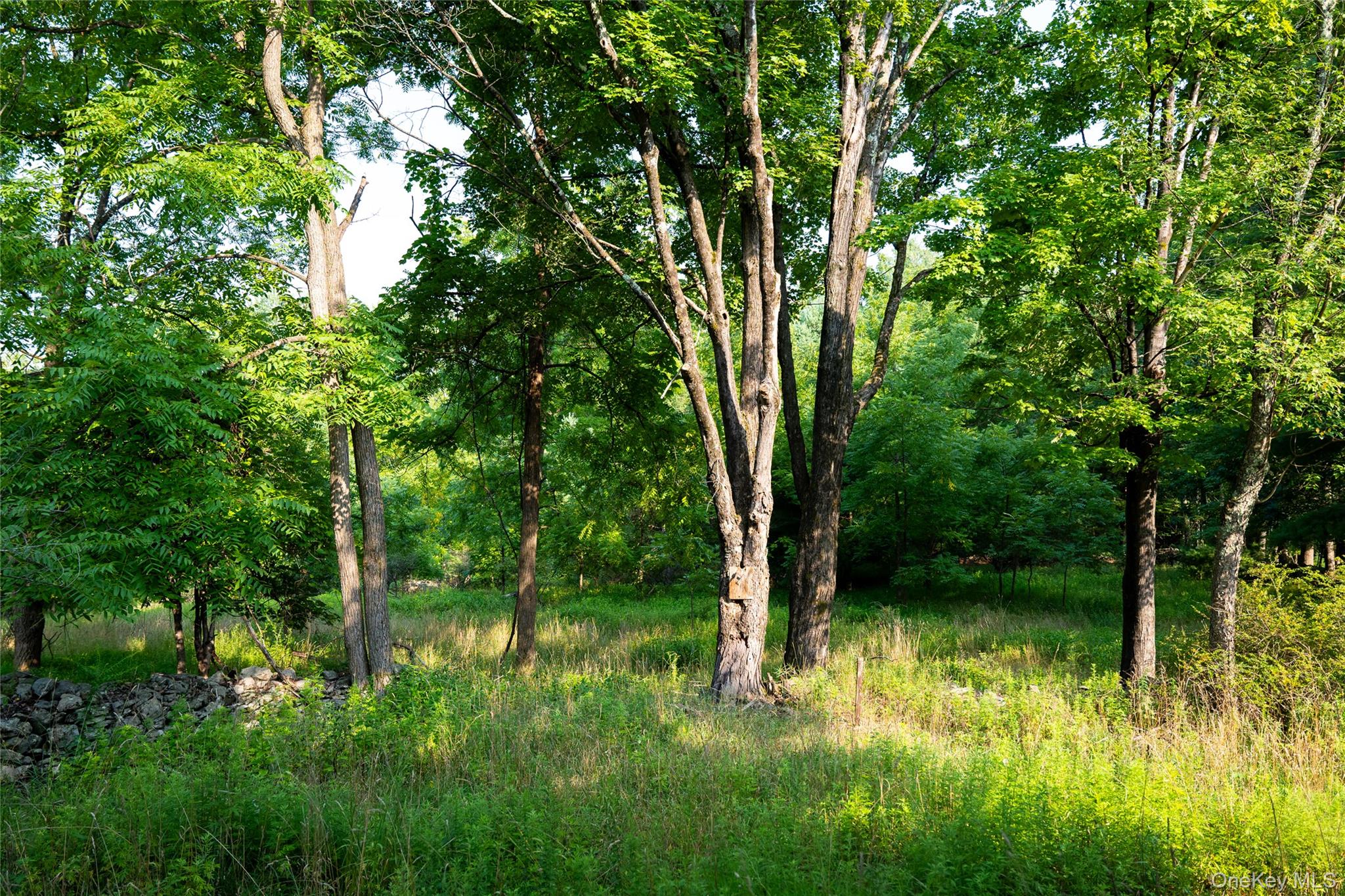55 Hill Road Property Photo 31