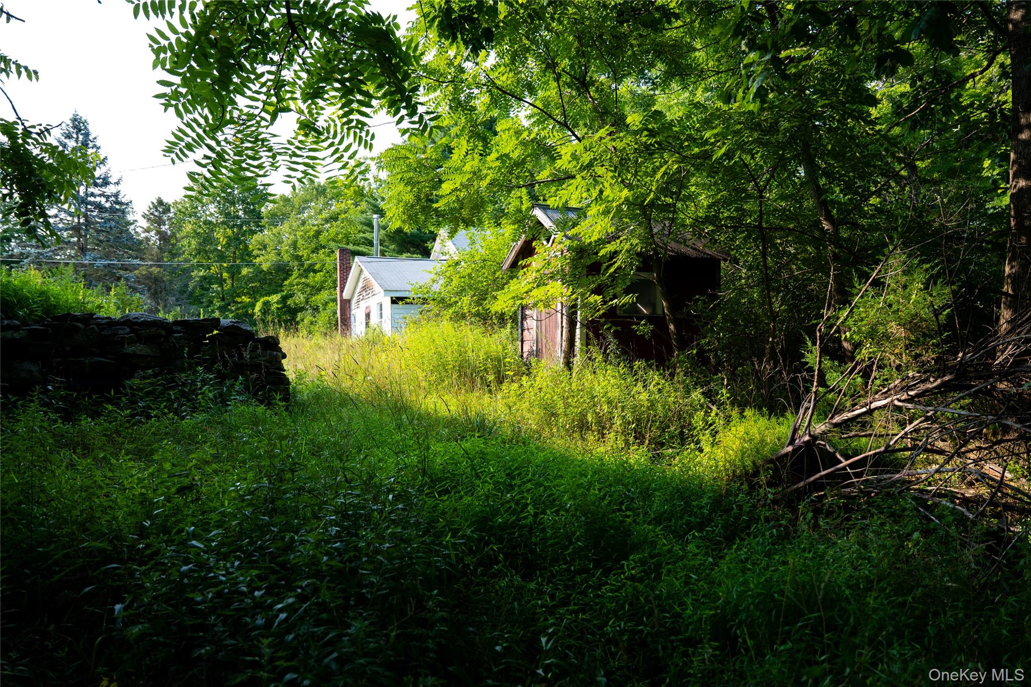55 Hill Road Property Photo 32