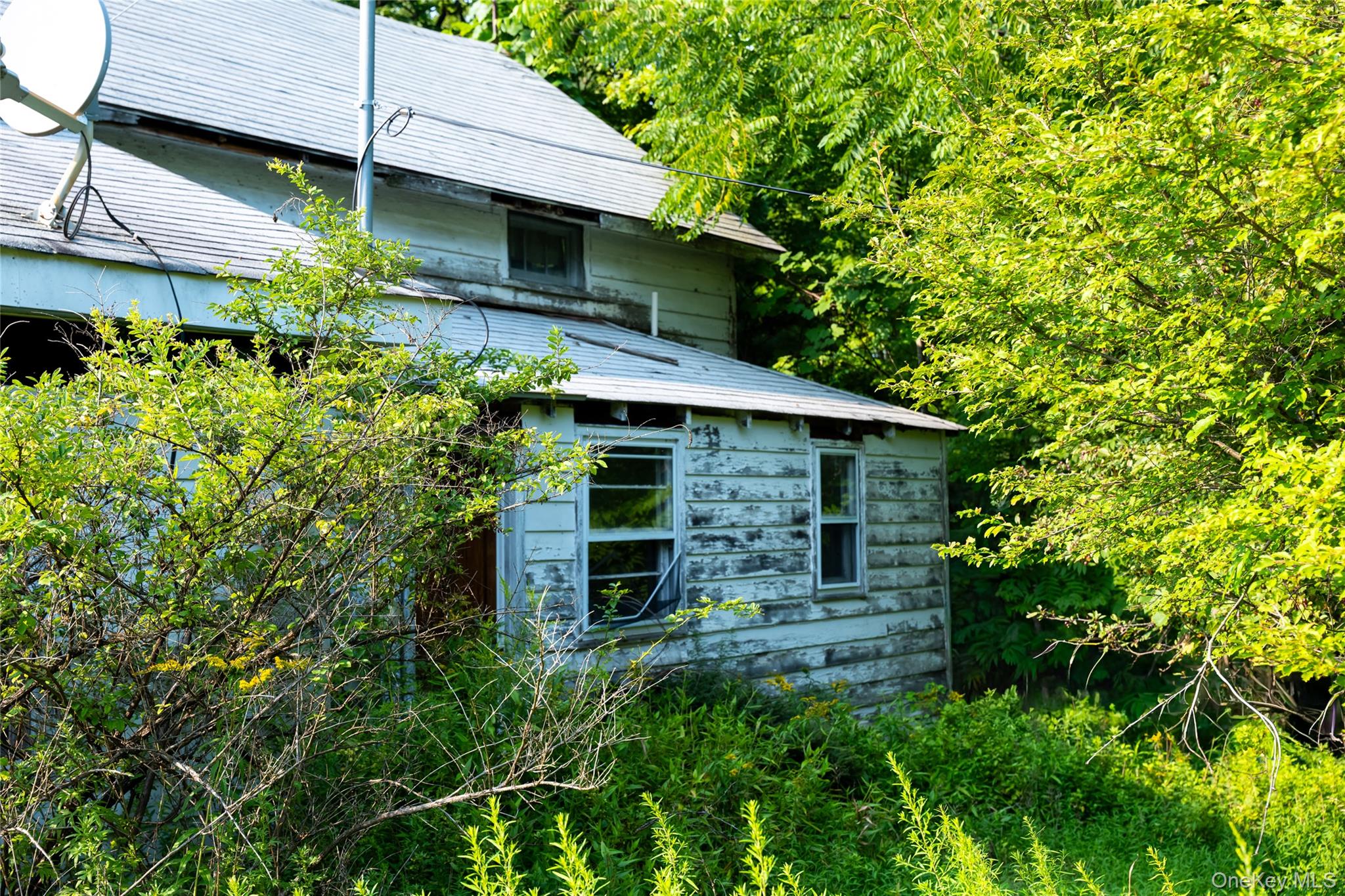 55 Hill Road Property Photo 33