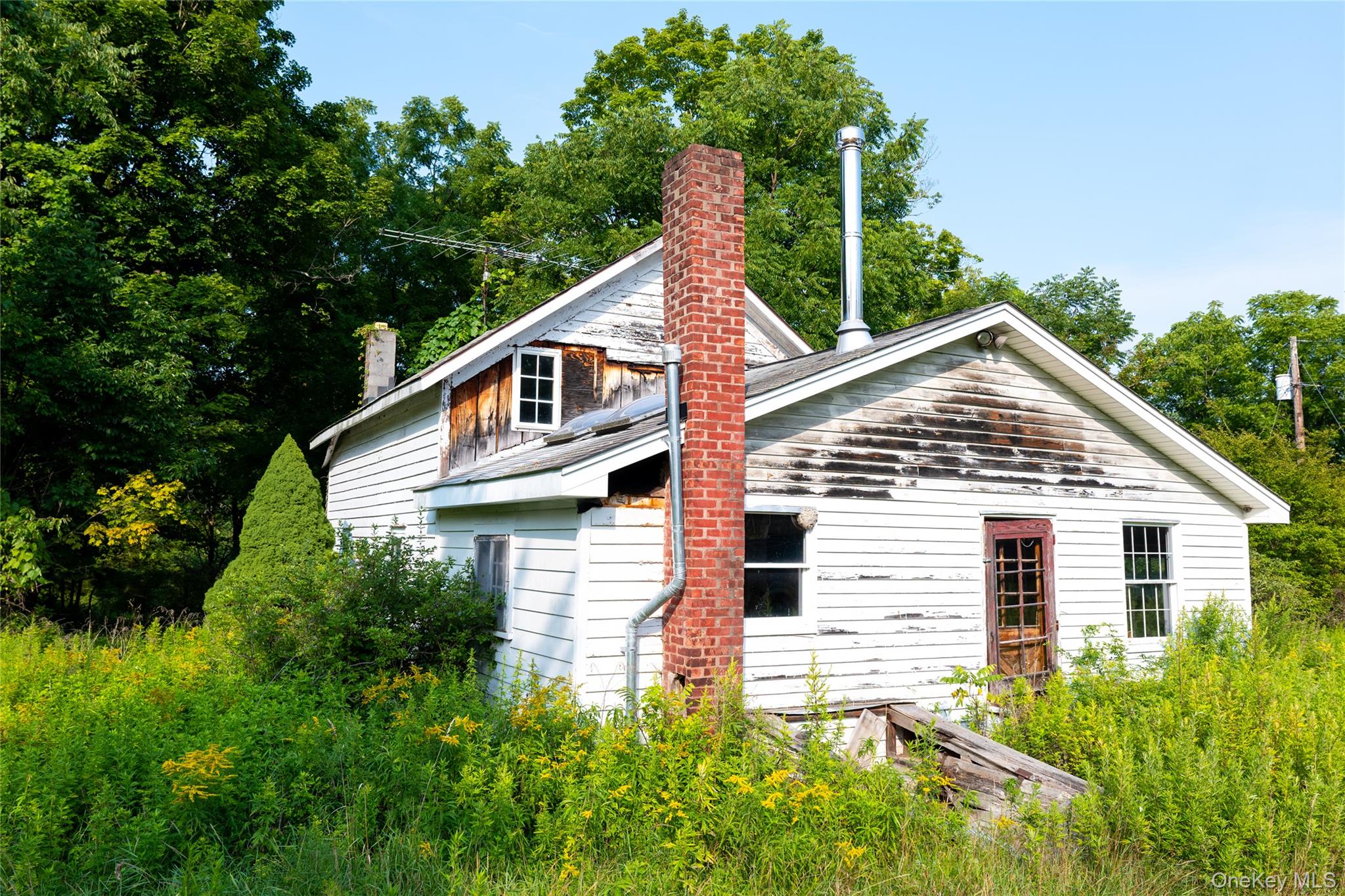 55 Hill Road Property Photo 37