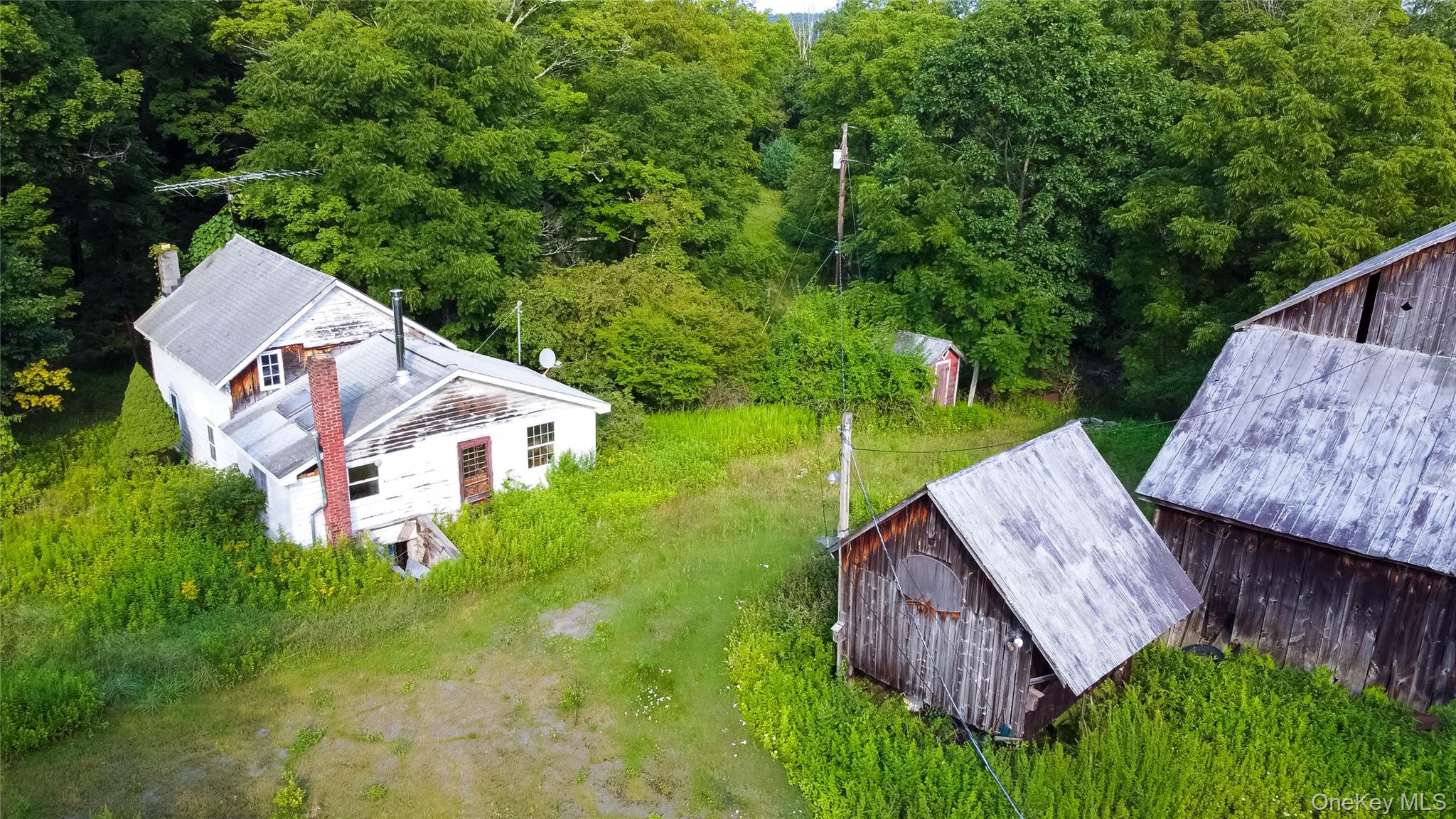 55 Hill Road Property Photo 38