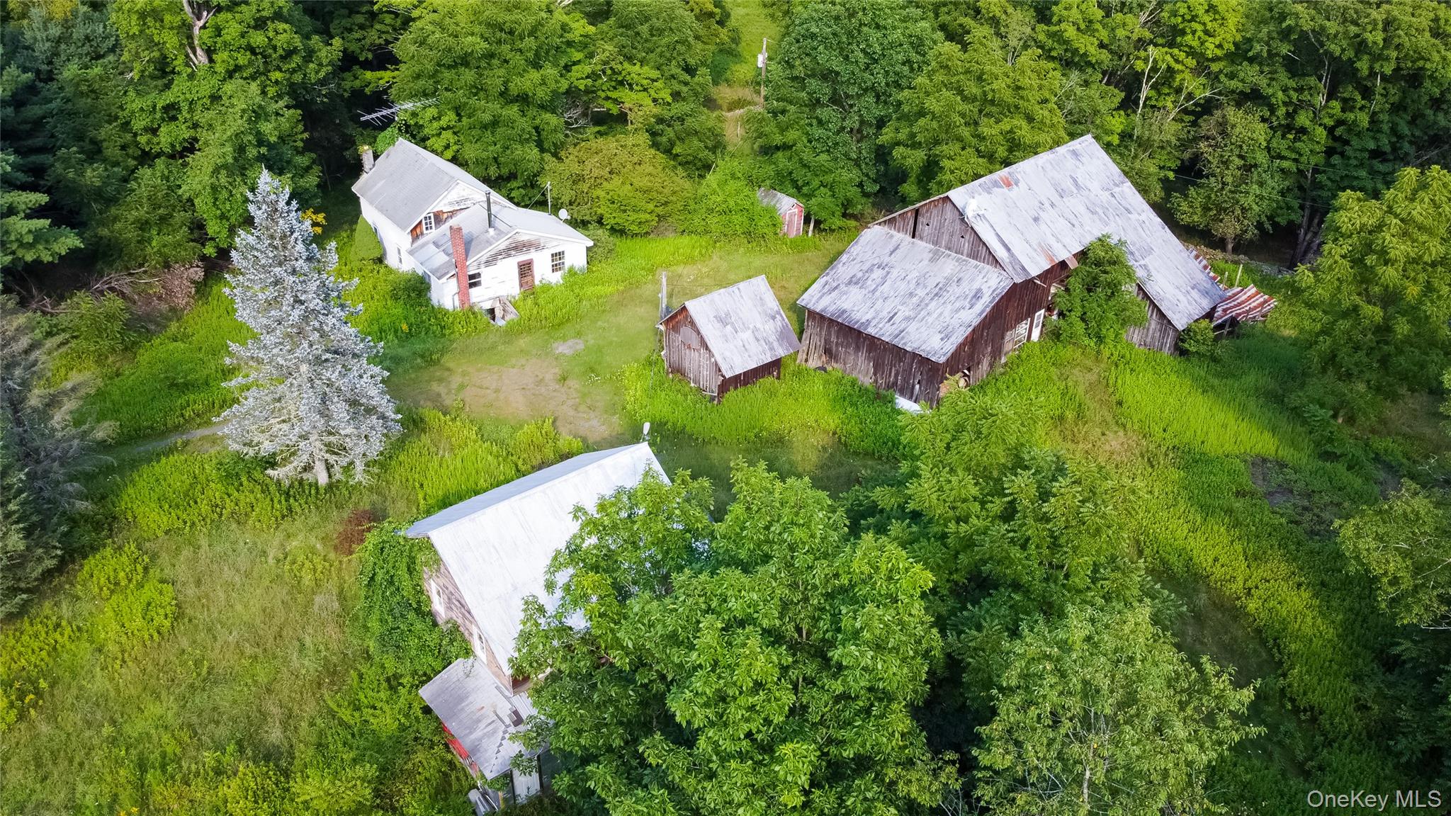 55 Hill Road Property Photo 40