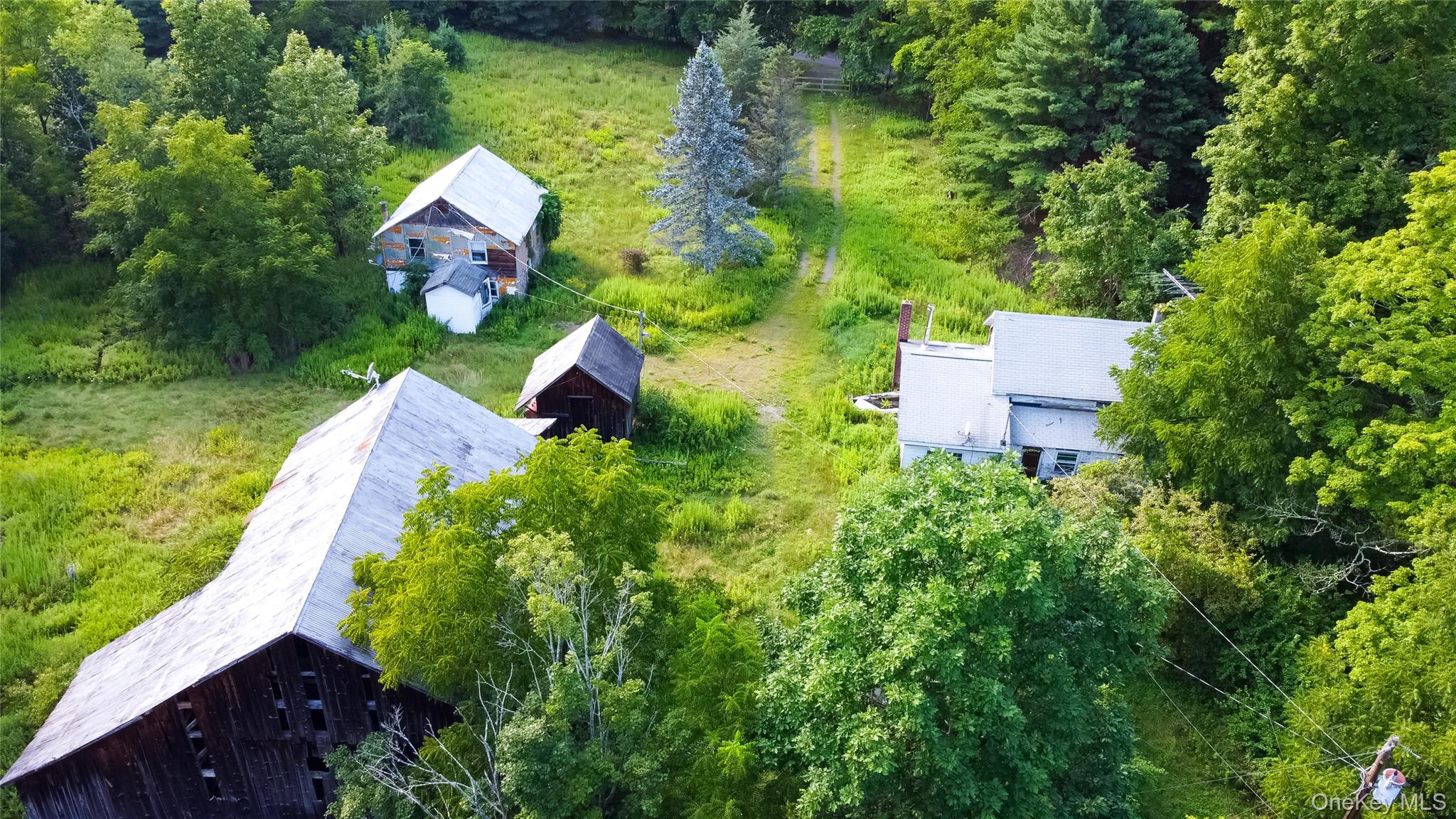 55 Hill Road Property Photo 41