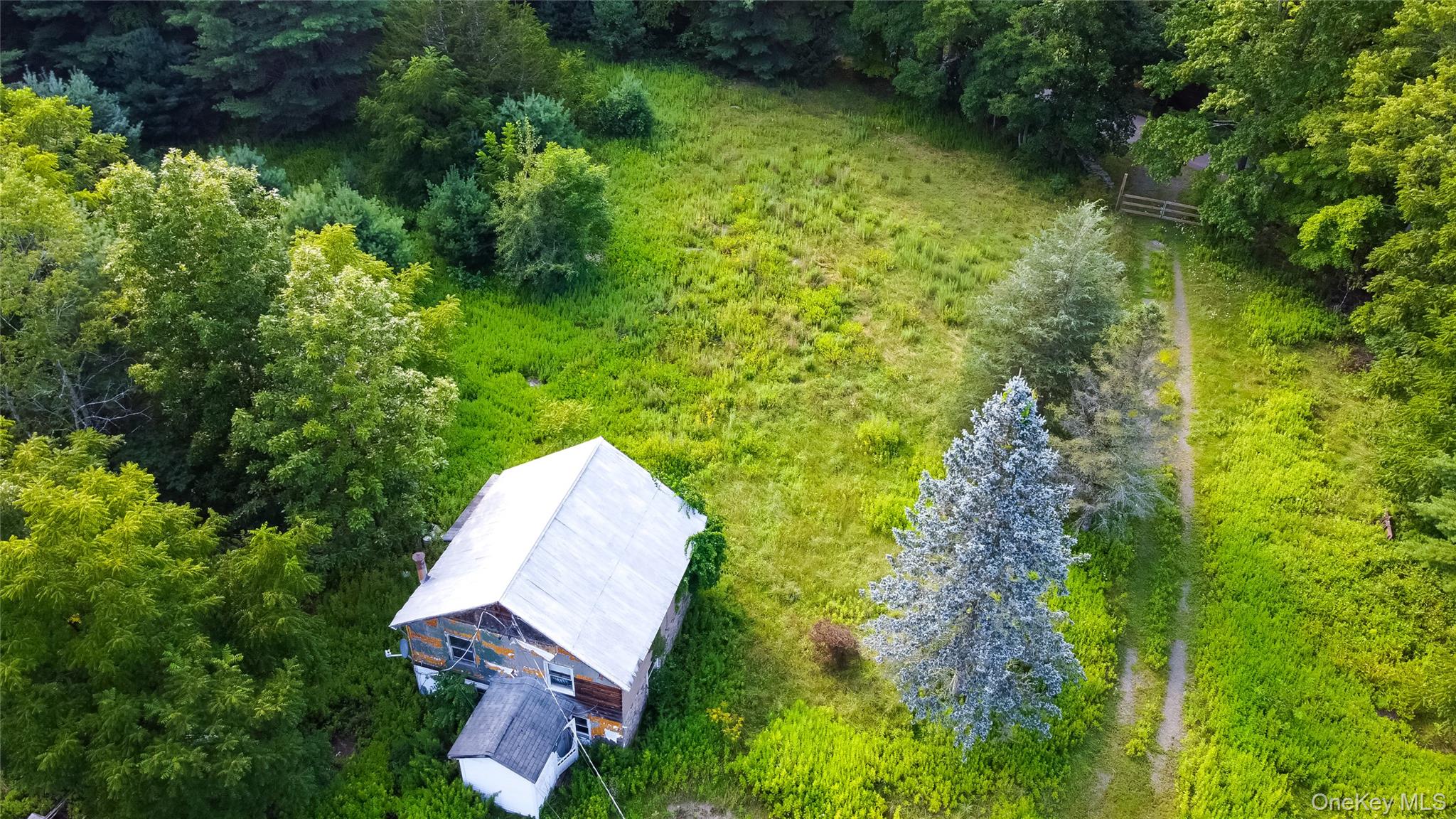 55 Hill Road Property Photo 42