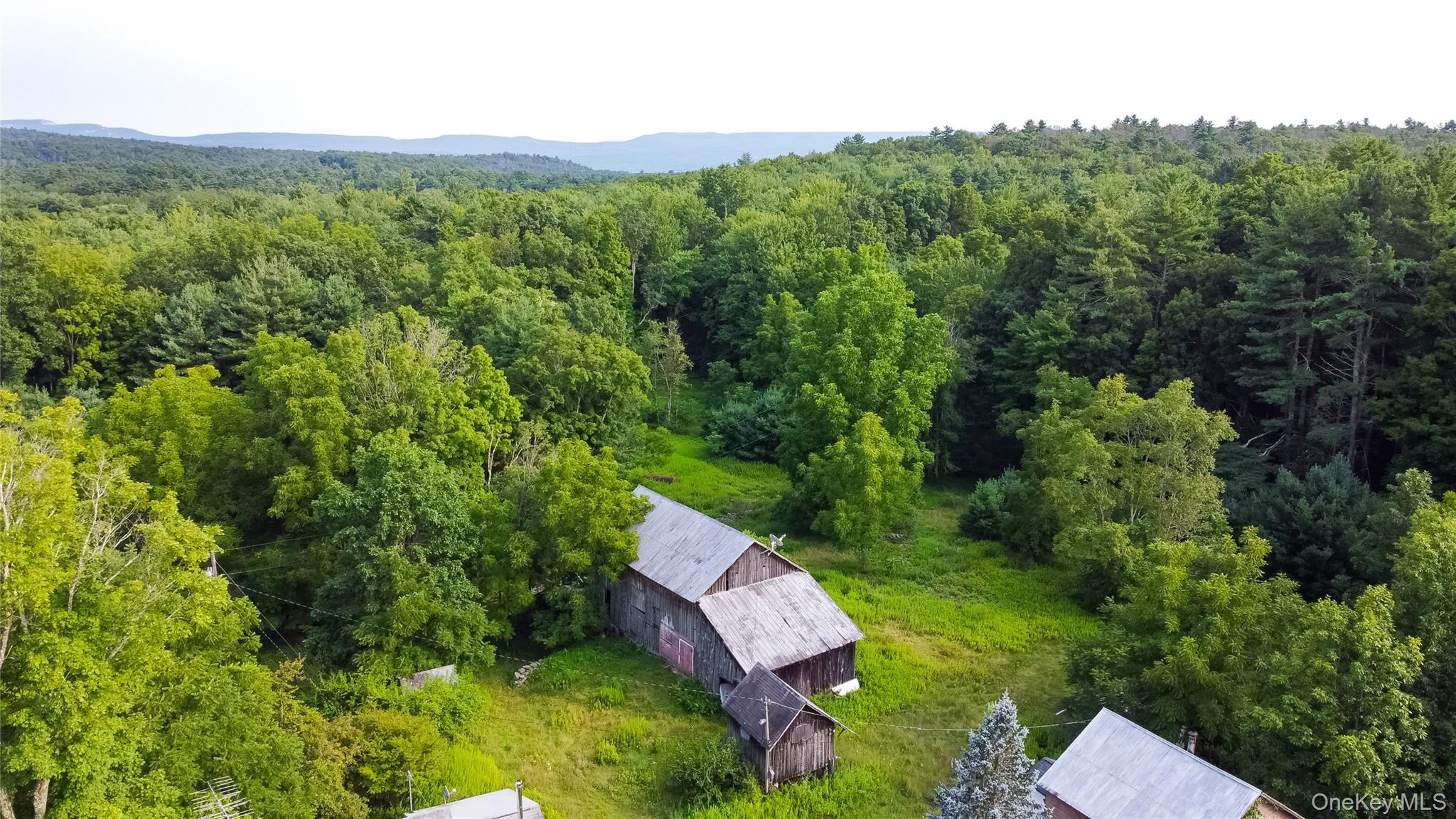 55 Hill Road Property Photo 43