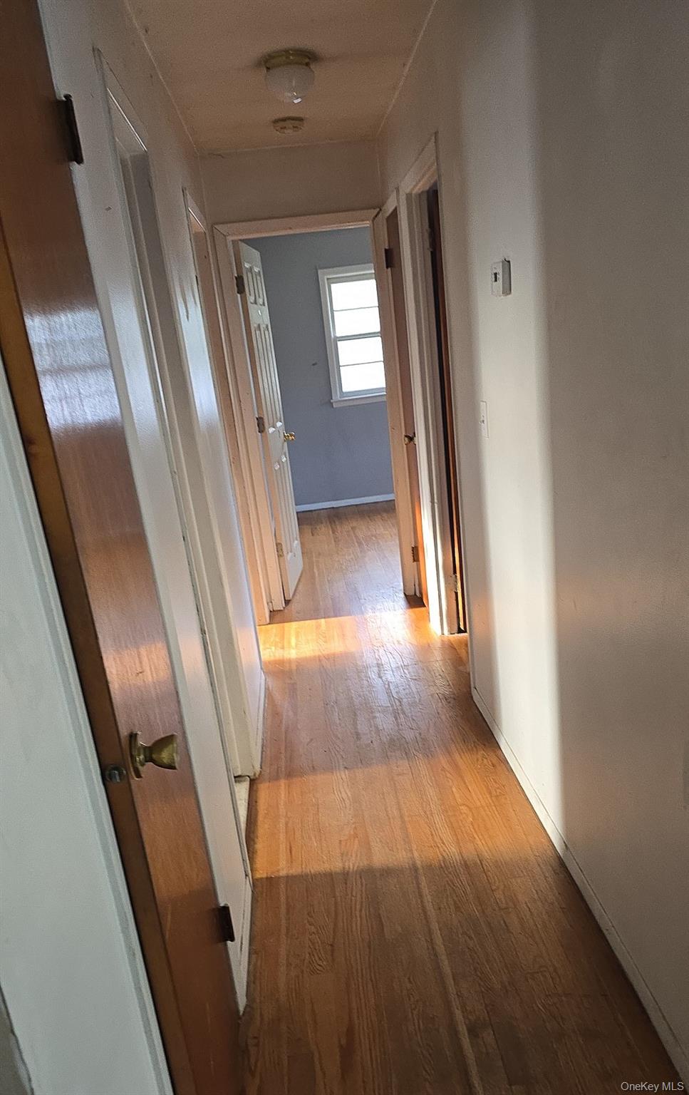 14 Bellmore Drive Property Photo 18