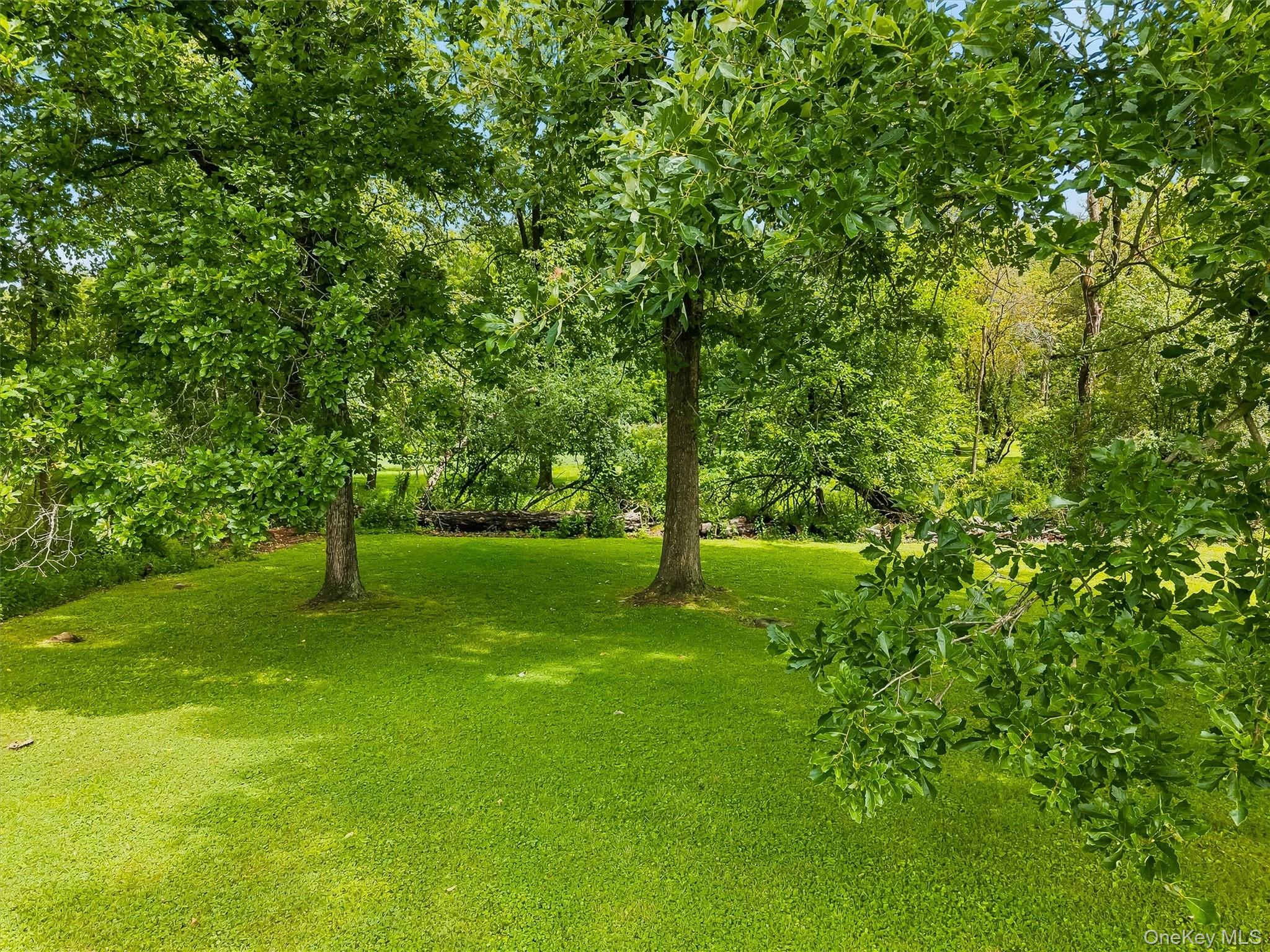 115 Little York Road Property Photo 40