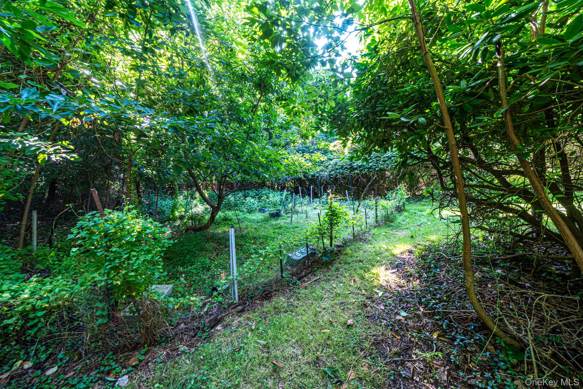 8 Dartmouth Road Property Photo 6