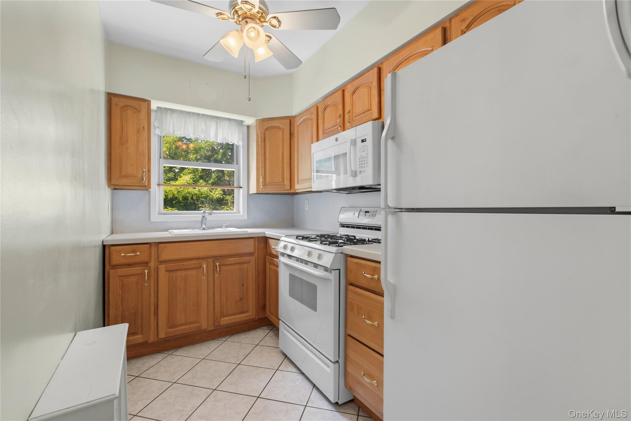 2 Winchester Avenue 1a Property Photo 13