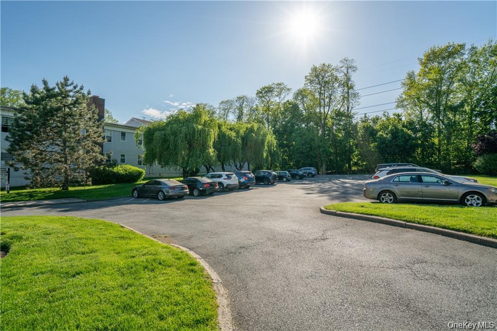 2 Winchester Avenue 1a Property Photo 18