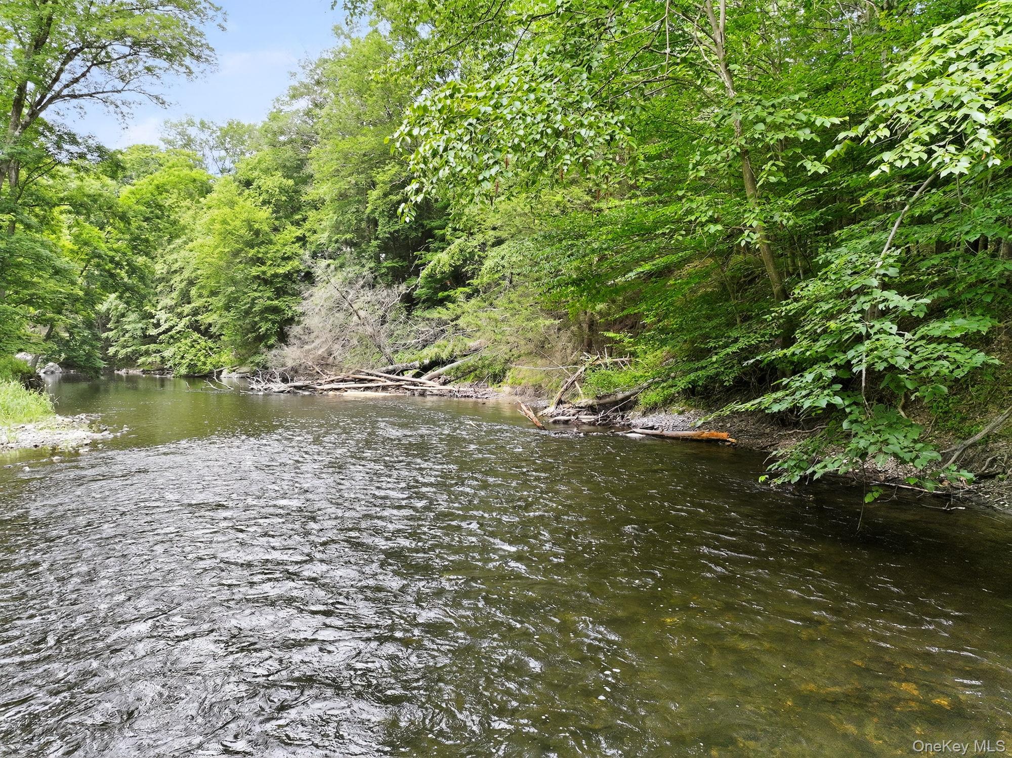 1202 Jackson Corners Road Property Photo 23