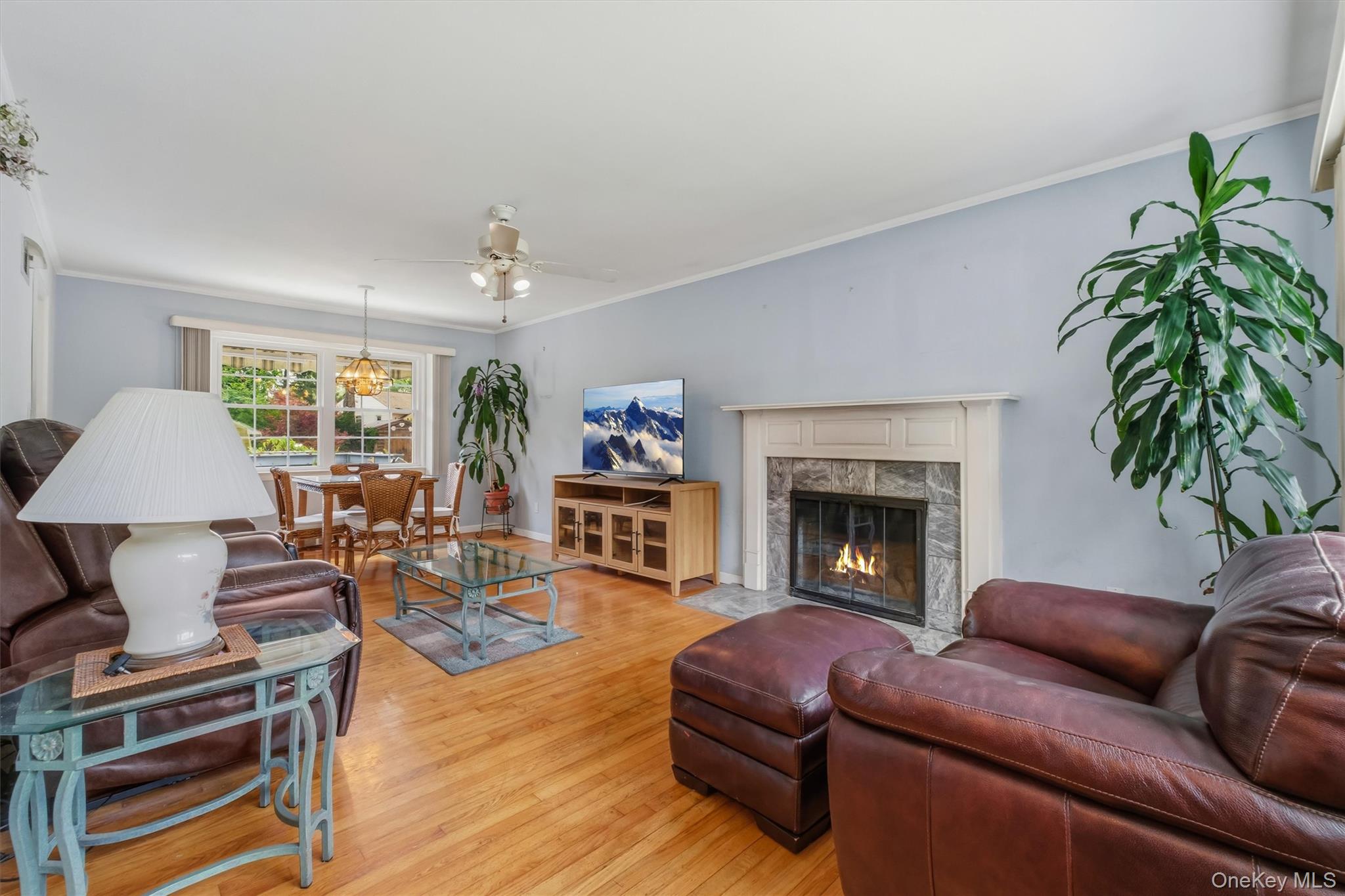 4 Broadview Road Property Photo 10