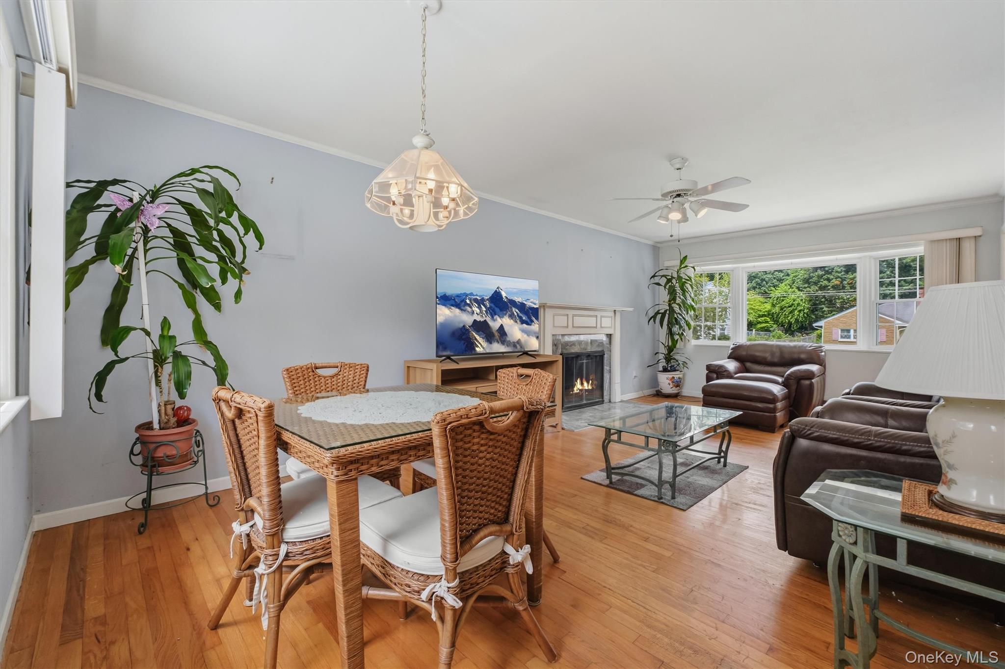 4 Broadview Road Property Photo 17