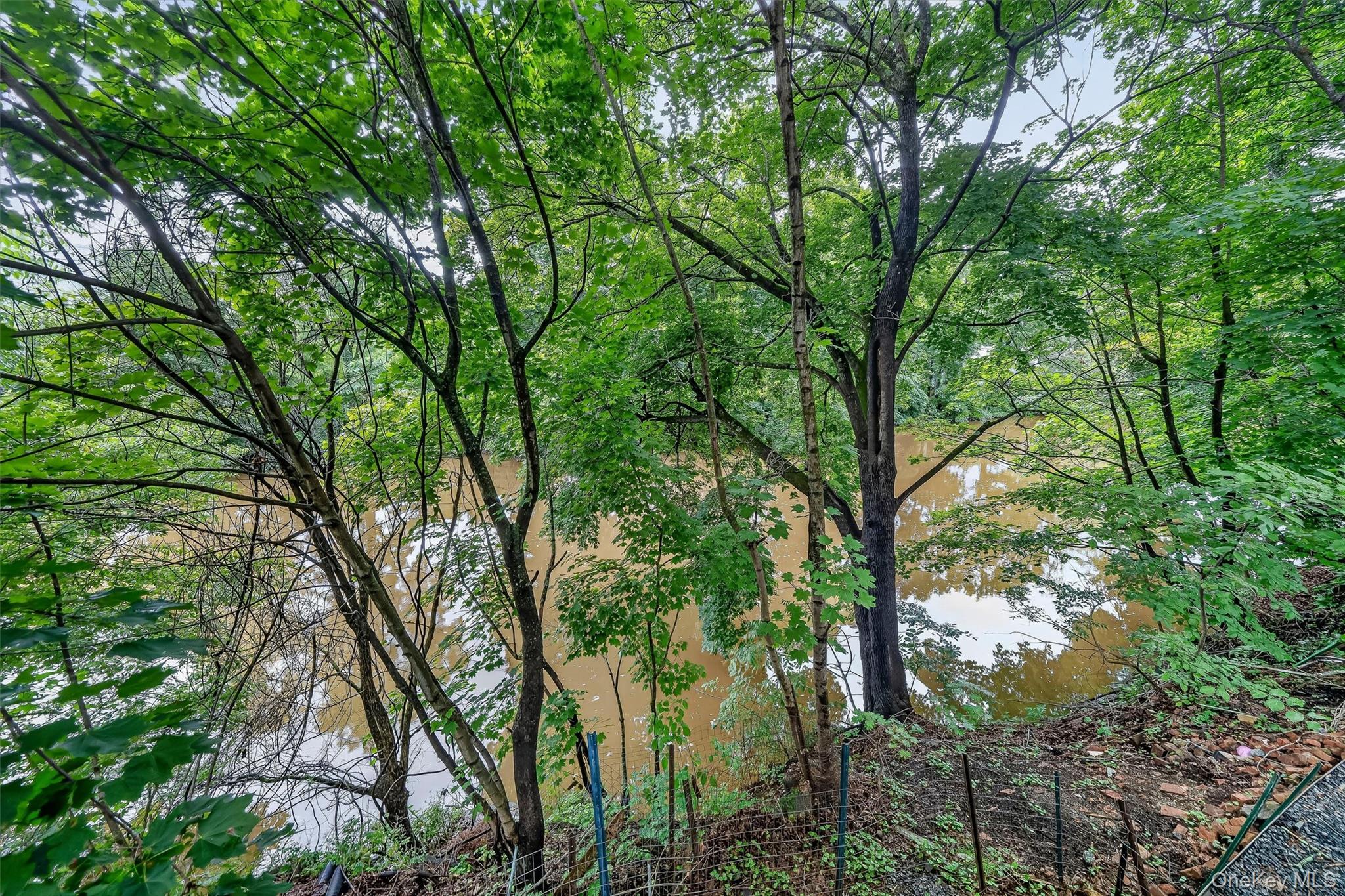 64 Orrs Mills Road B Property Photo 29