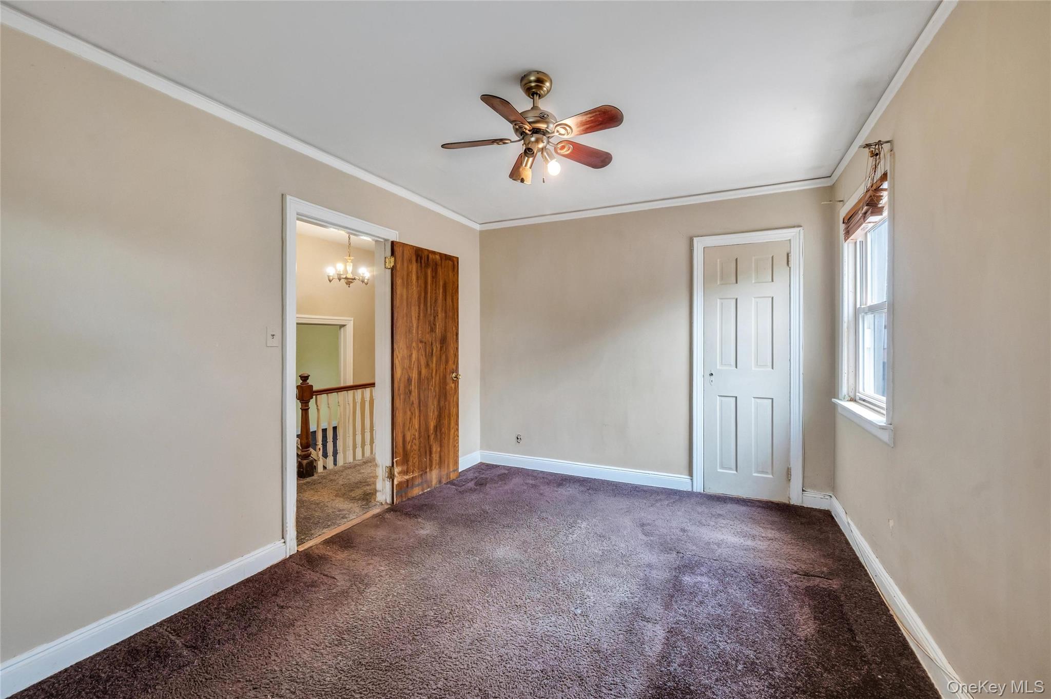 78-28 222nd Street Property Photo 19