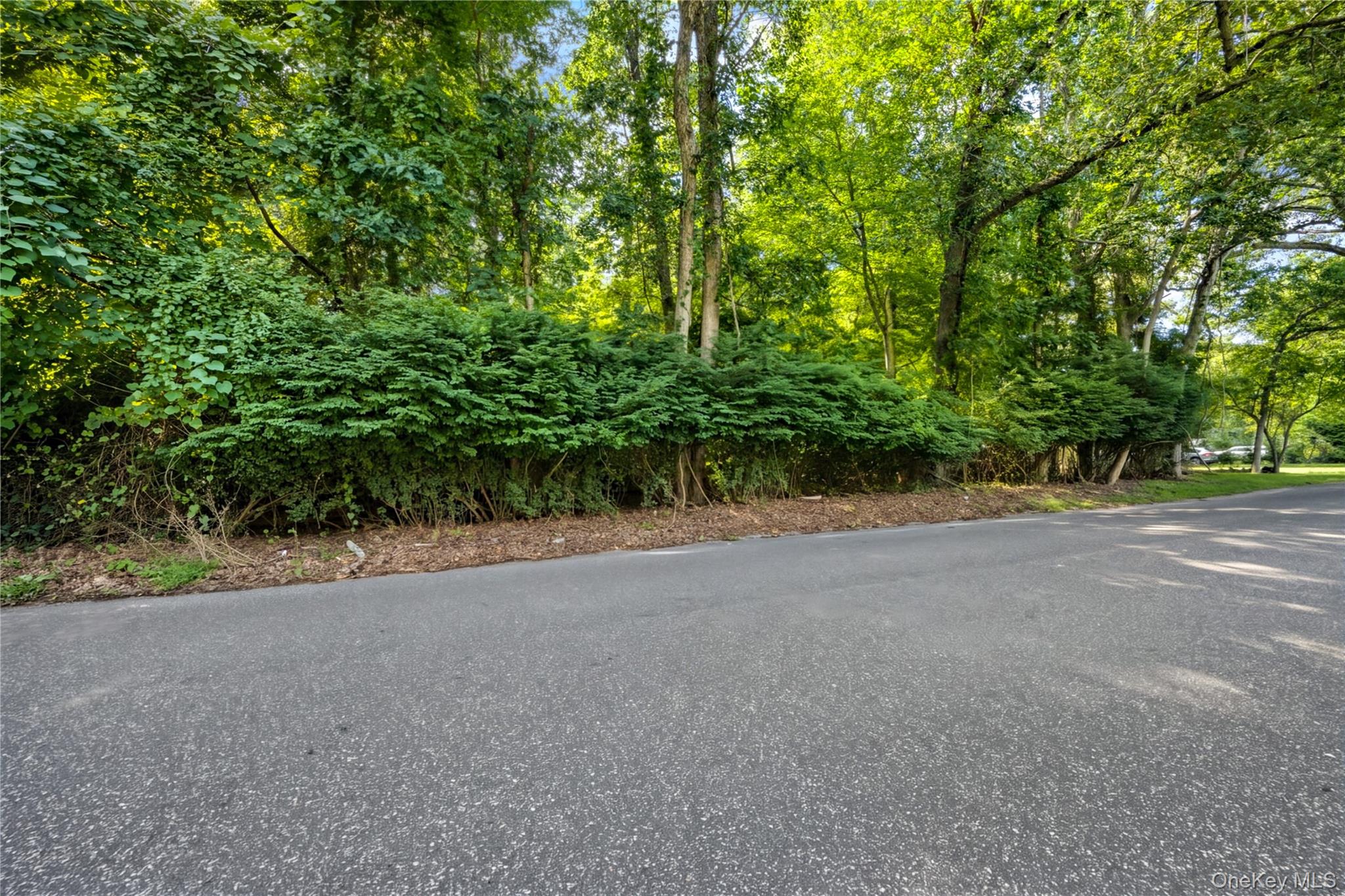 0 Swezeytown Road Property Photo 1